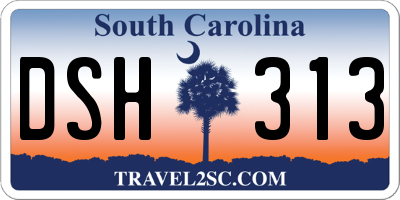 SC license plate DSH313