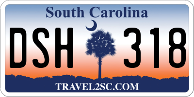 SC license plate DSH318