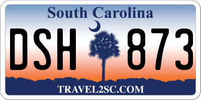SC license plate DSH873