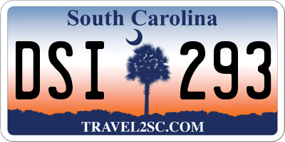 SC license plate DSI293