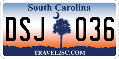 SC license plate DSJ036