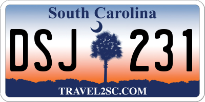 SC license plate DSJ231