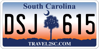 SC license plate DSJ615