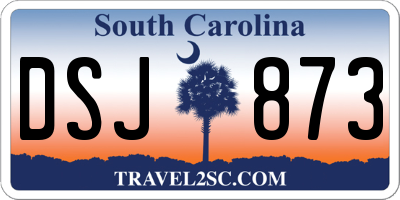 SC license plate DSJ873