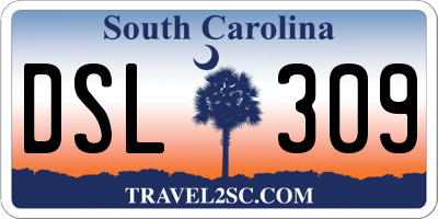 SC license plate DSL309