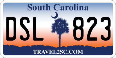 SC license plate DSL823