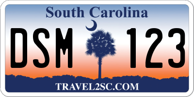 SC license plate DSM123