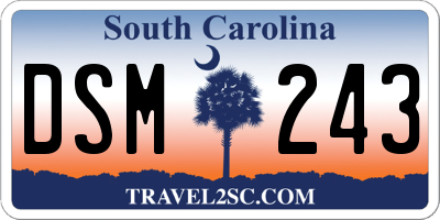 SC license plate DSM243