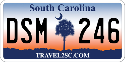 SC license plate DSM246