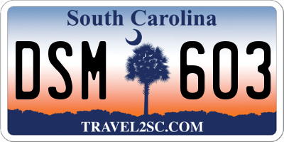 SC license plate DSM603