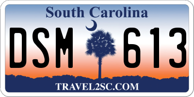 SC license plate DSM613