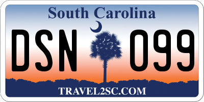 SC license plate DSN099