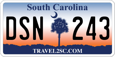 SC license plate DSN243