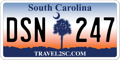 SC license plate DSN247