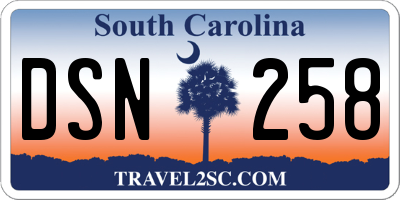 SC license plate DSN258