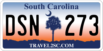 SC license plate DSN273