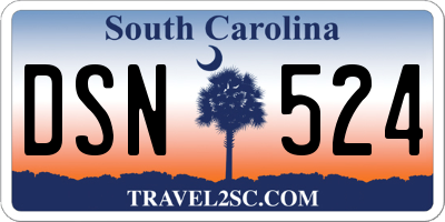 SC license plate DSN524