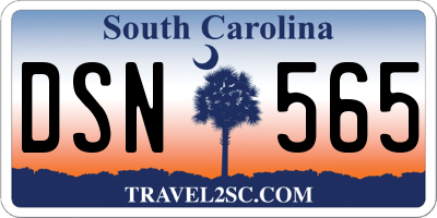 SC license plate DSN565