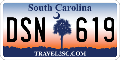 SC license plate DSN619