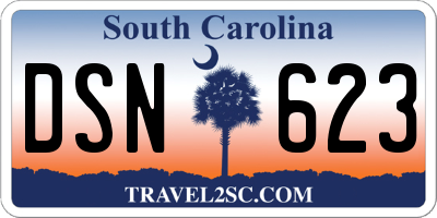 SC license plate DSN623