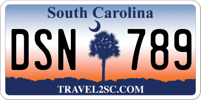 SC license plate DSN789