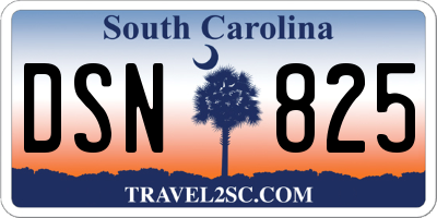 SC license plate DSN825