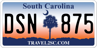 SC license plate DSN875