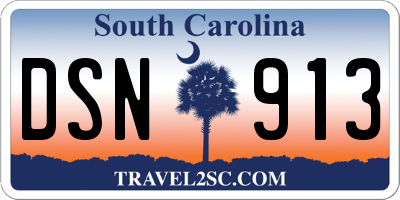 SC license plate DSN913
