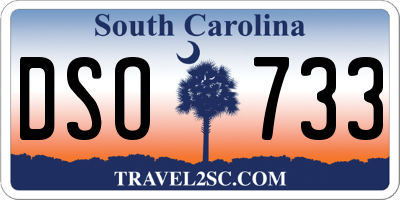 SC license plate DSO733