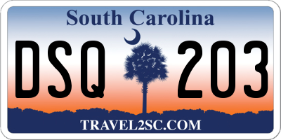 SC license plate DSQ203