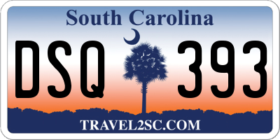 SC license plate DSQ393