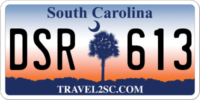 SC license plate DSR613