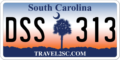 SC license plate DSS313