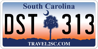 SC license plate DST313