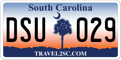 SC license plate DSU029