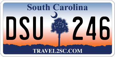 SC license plate DSU246