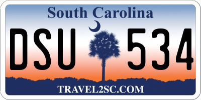SC license plate DSU534