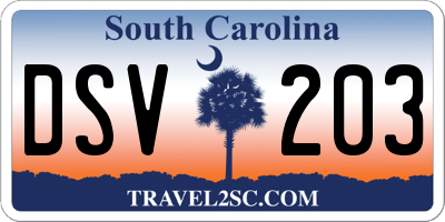 SC license plate DSV203