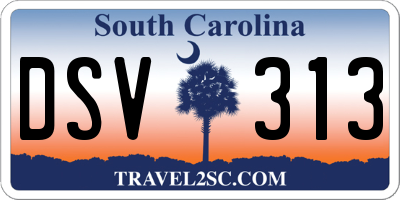 SC license plate DSV313