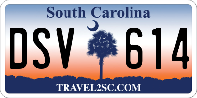 SC license plate DSV614