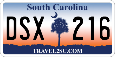 SC license plate DSX216