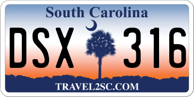 SC license plate DSX316