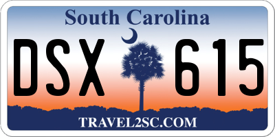 SC license plate DSX615