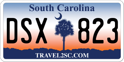SC license plate DSX823