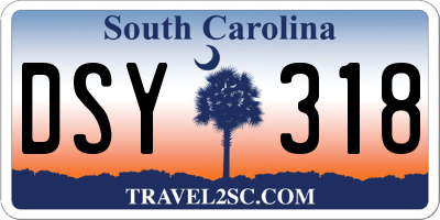 SC license plate DSY318