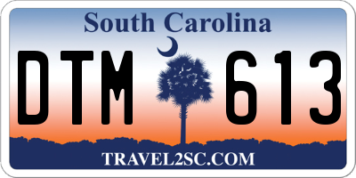 SC license plate DTM613