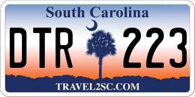 SC license plate DTR223