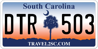 SC license plate DTR503