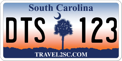 SC license plate DTS123