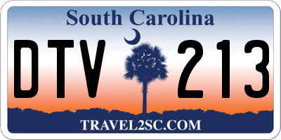 SC license plate DTV213